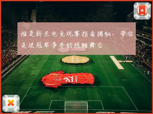谁是新王电竞观赛指南揭秘，带你走进冠军争夺的残酷舞台