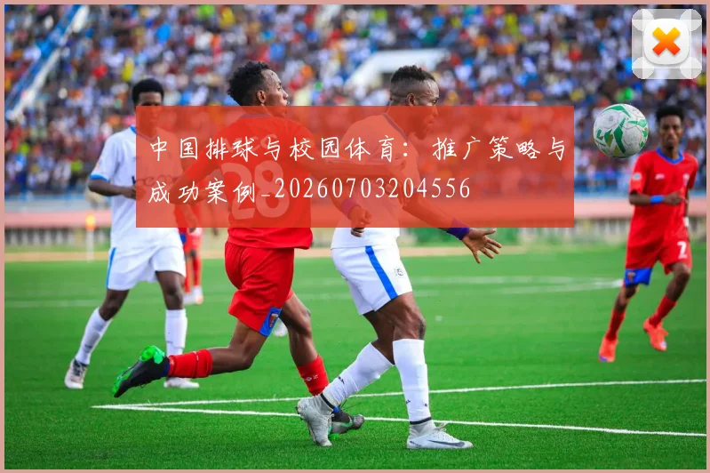 中国排球与校园体育：推广策略与成功案例_20260703204556