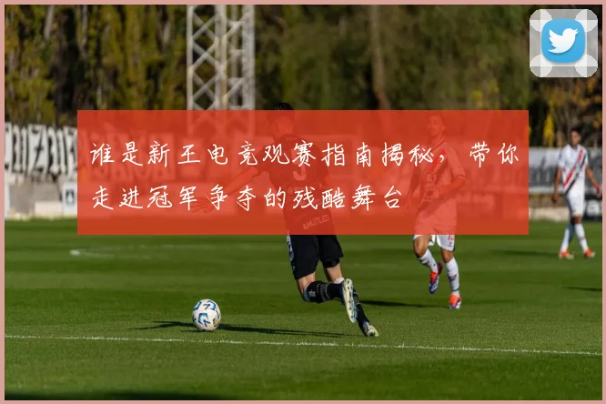 谁是新王电竞观赛指南揭秘,带你走进冠军争夺的残酷舞台
